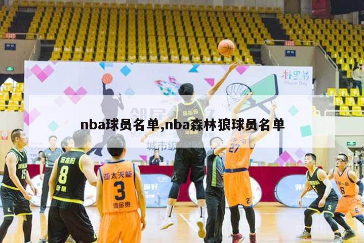 nba球员名单,nba森林狼球员名单