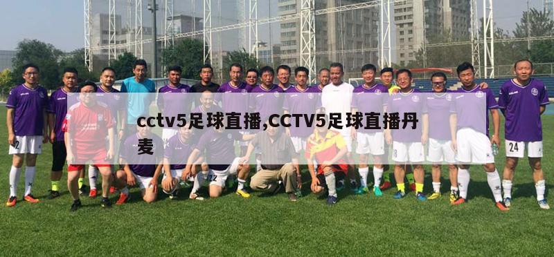 cctv5足球直播,CCTV5足球直播丹麦